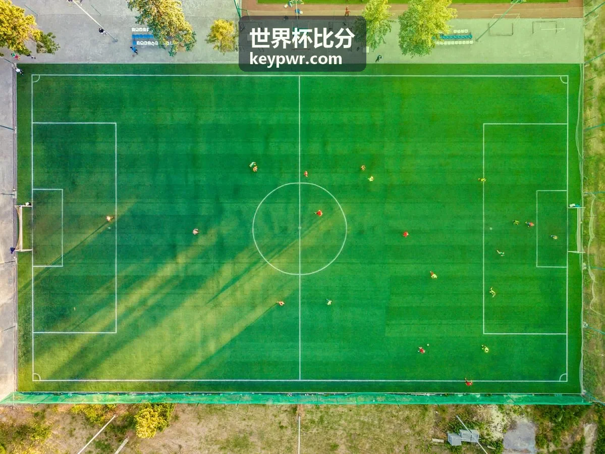 世界杯比分非洲区预选赛